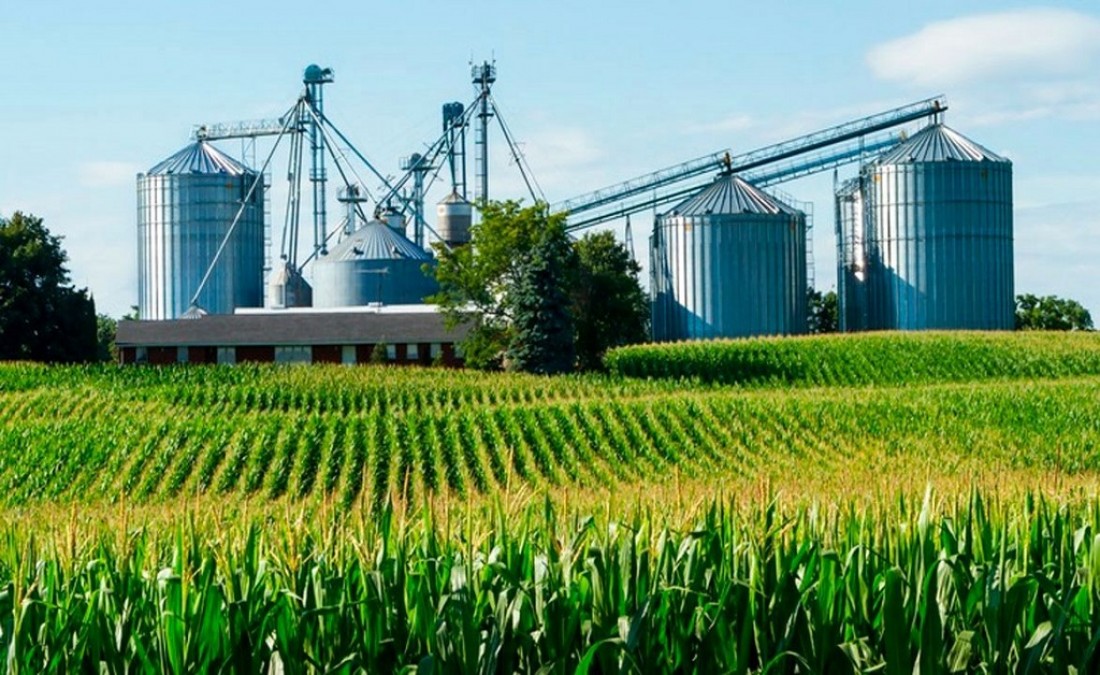 Se espera una fuerte recuperación agroindustrial para el próximo año