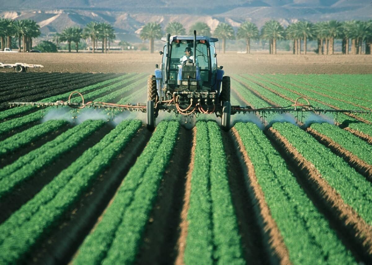 El aporte del agro en 2024 estará cerca de sus récords históricos